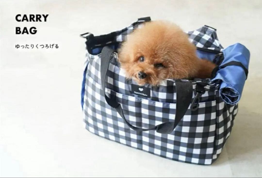 美品ハンナフラ　キャリーバック　2way 犬猫　軽い
