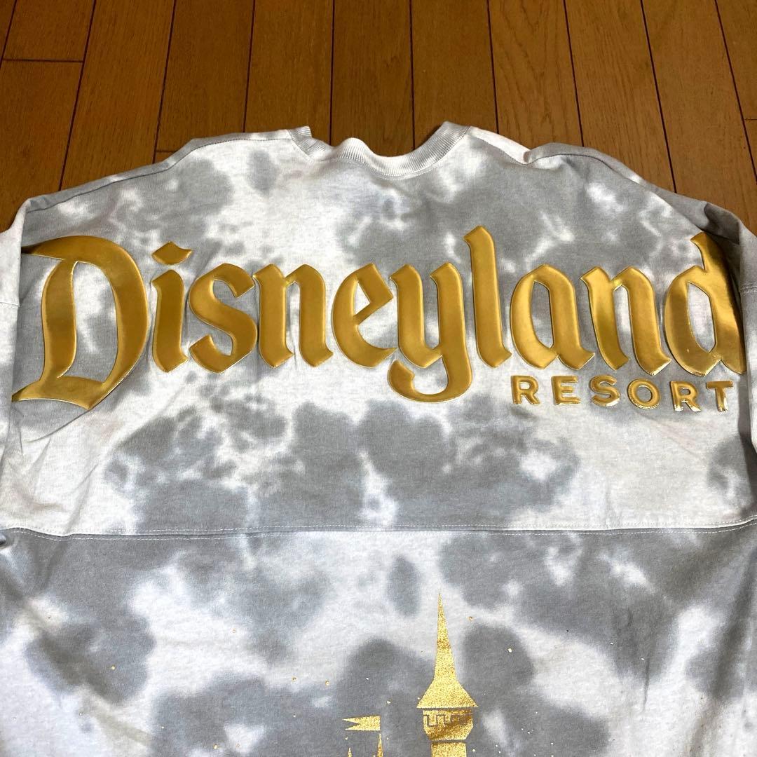 海外限定 ディズニー スピリットジャージー ロンT アナハイム M アメリカ