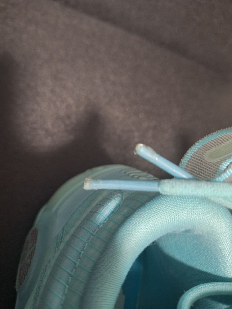 リーニン wayofwaed10 26.5箱あり