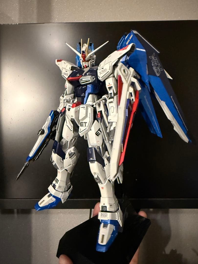 MGフリーダムガンダム2.0 全塗装完成品