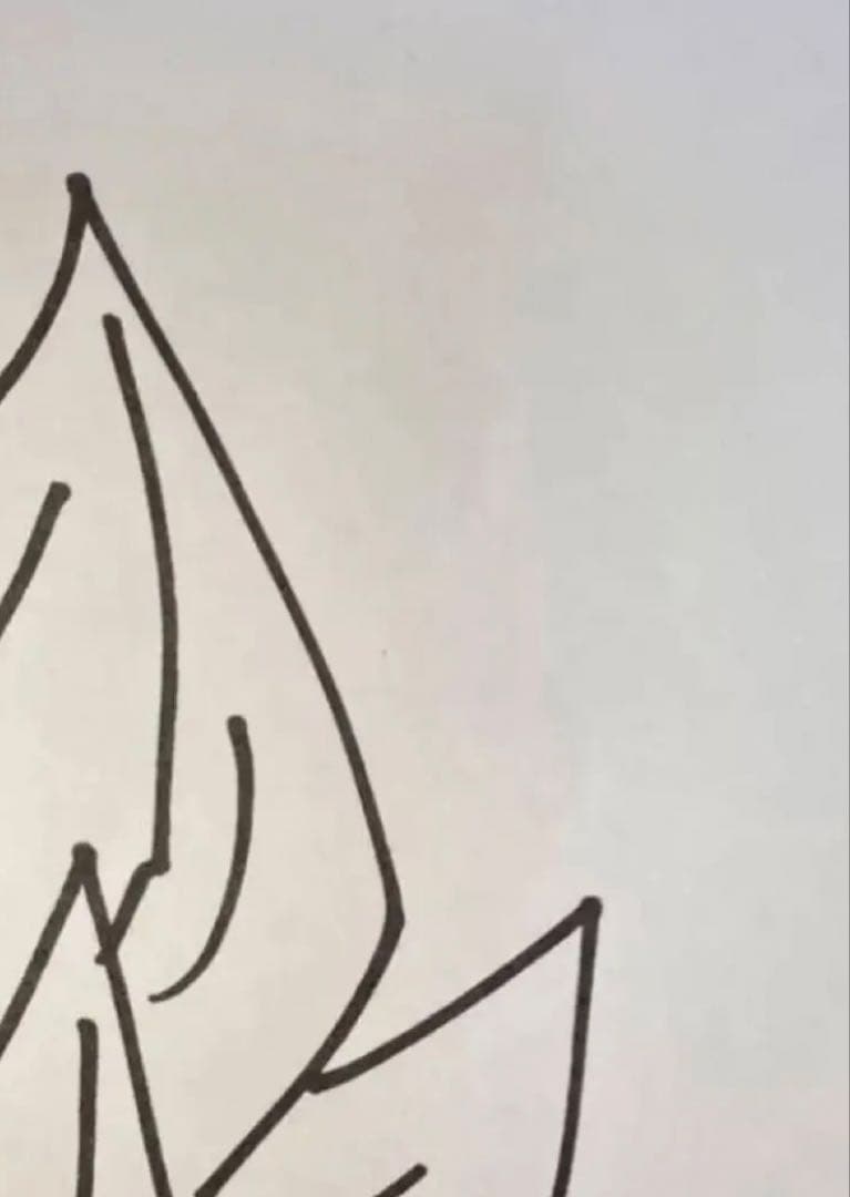 ドラゴンボール 鳥山明 複製スペシャルサイン ジャンプ流