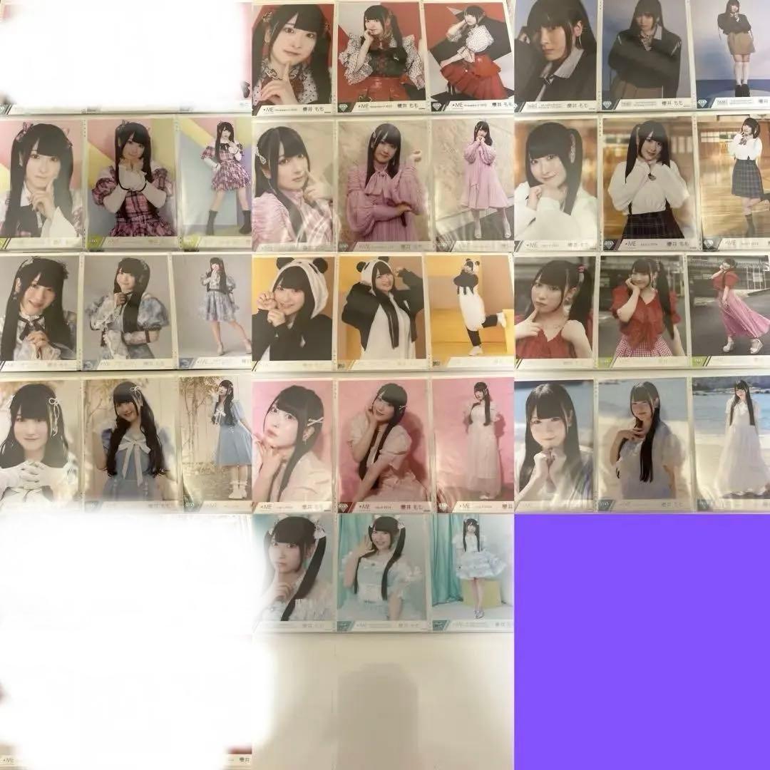 櫻井もも ノイミー 生写真 コンプ