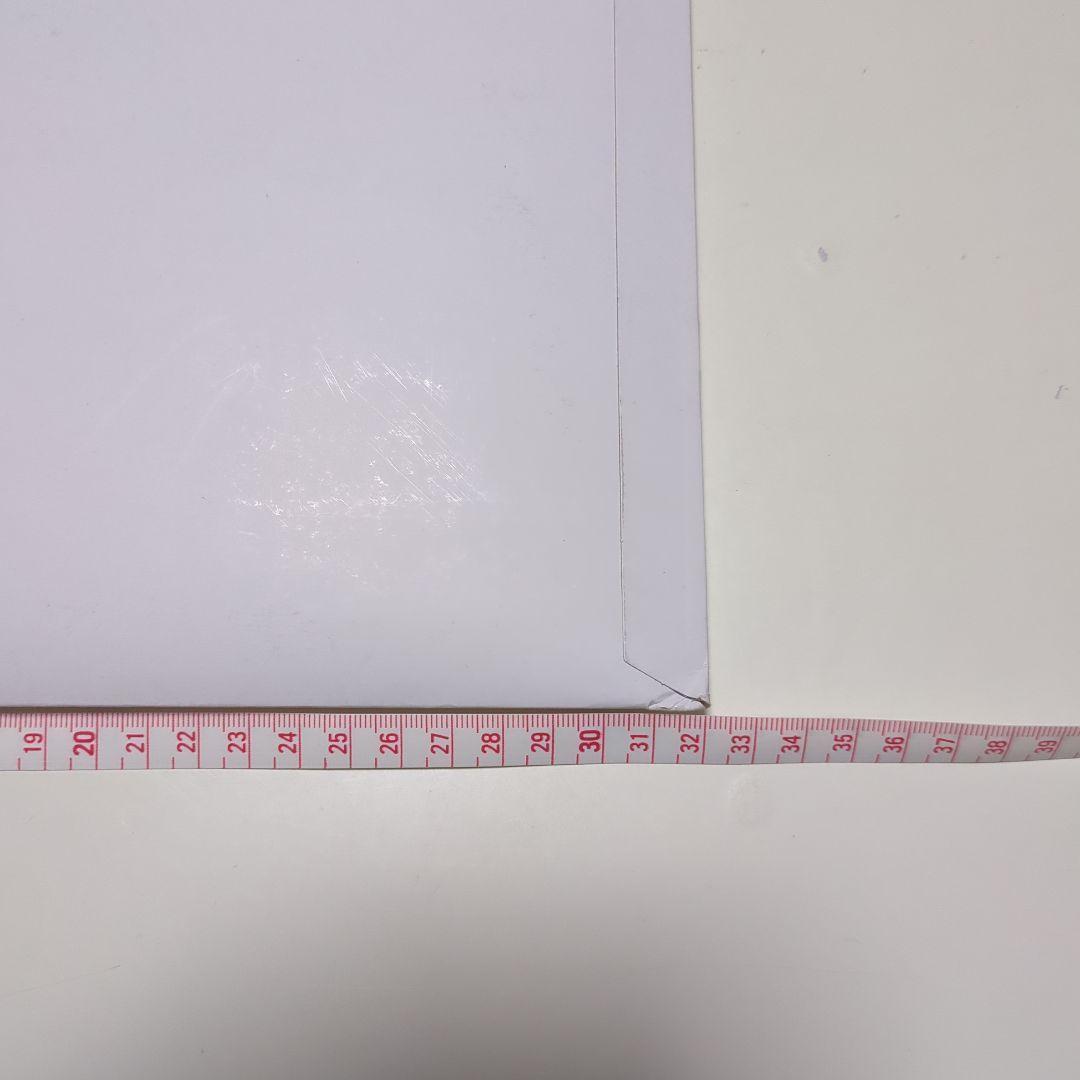 高橋文哉眞栄田郷敦桜田ひより板垣李光人　ブルーピリオド サイン入りポスター