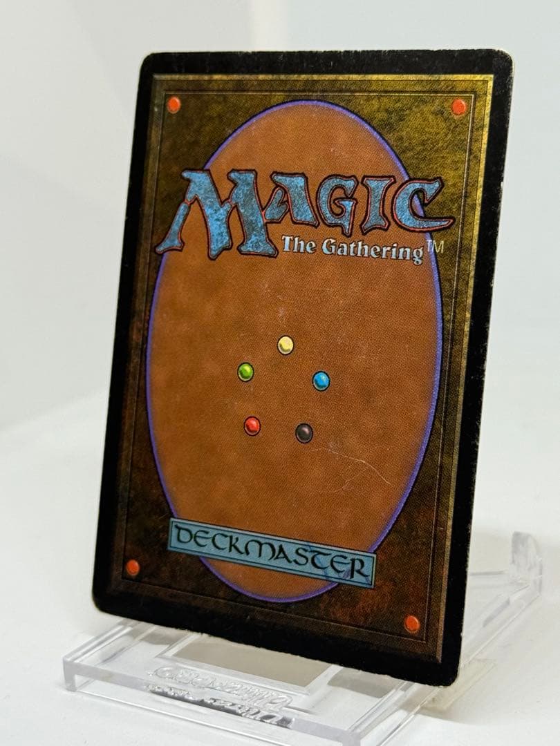 《Savannah》LEB ベータ版　デュアルランド