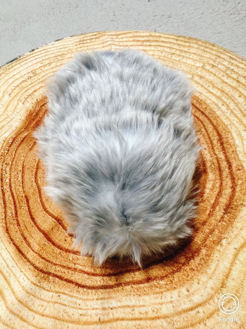 モフリン シルバー