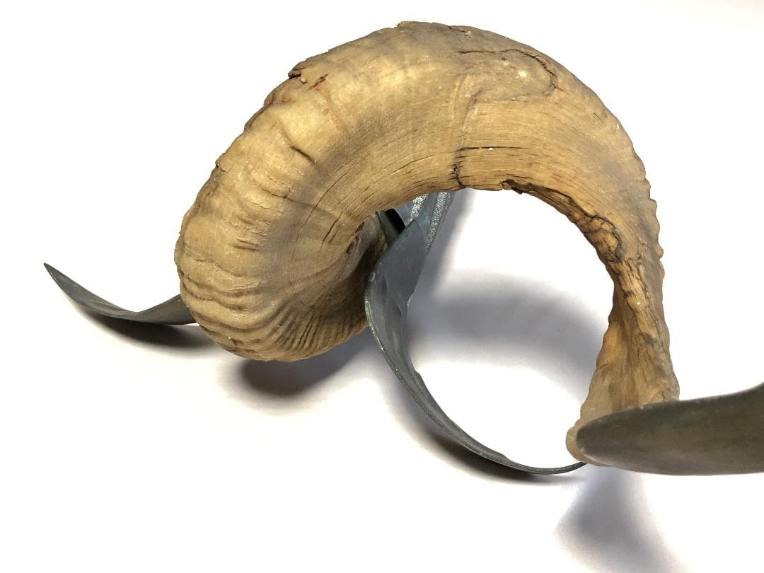 【 稀少文物 】　山羊角、金銅彫金　『魚オブジェ』　清朝古玩