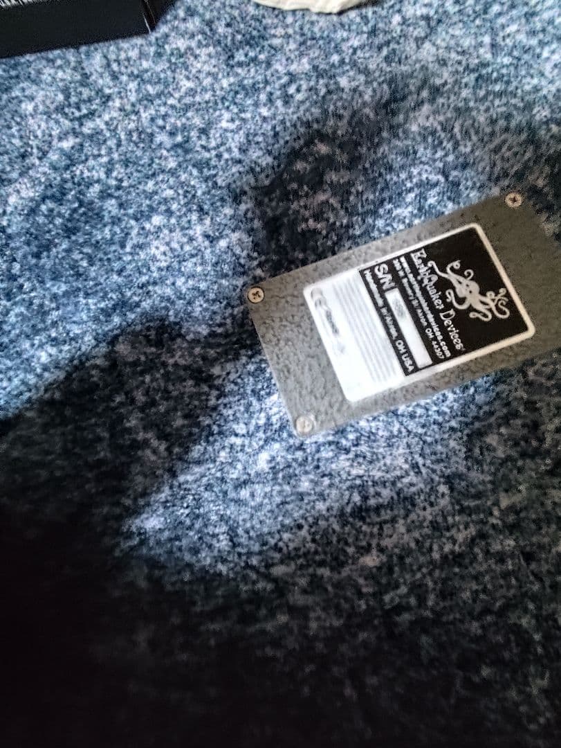 テ*リ様 EarthQuaker Devices White Light アース