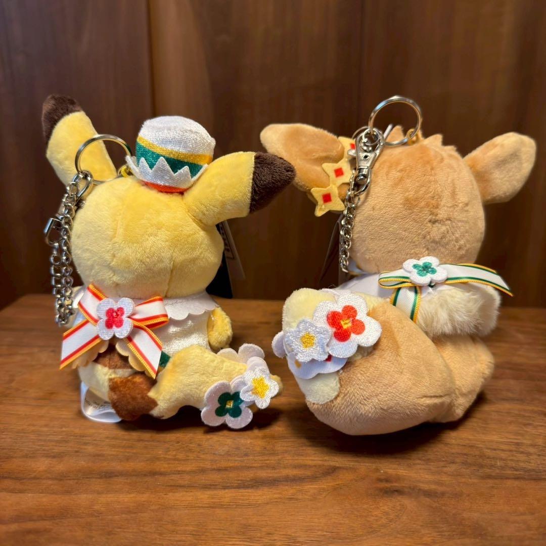 ポケパーク　ピカチュウ・イーブイ セット