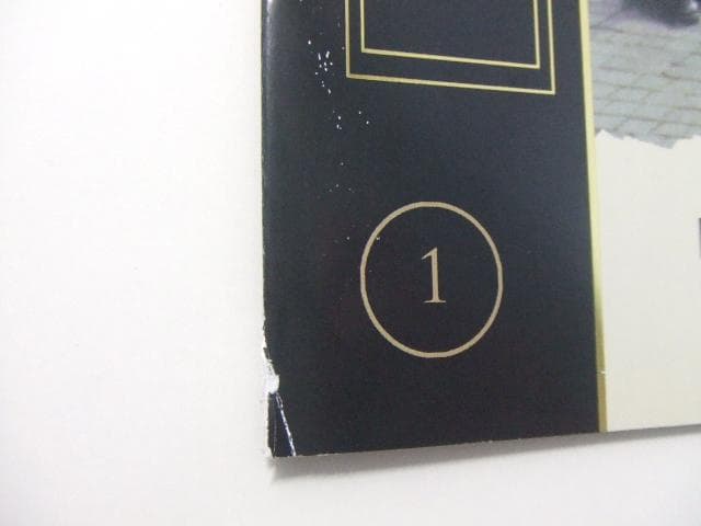 ブルース・リー レジェンズ・オブ・ドラゴン 全6冊 バインダー付 ドラゴンへの道