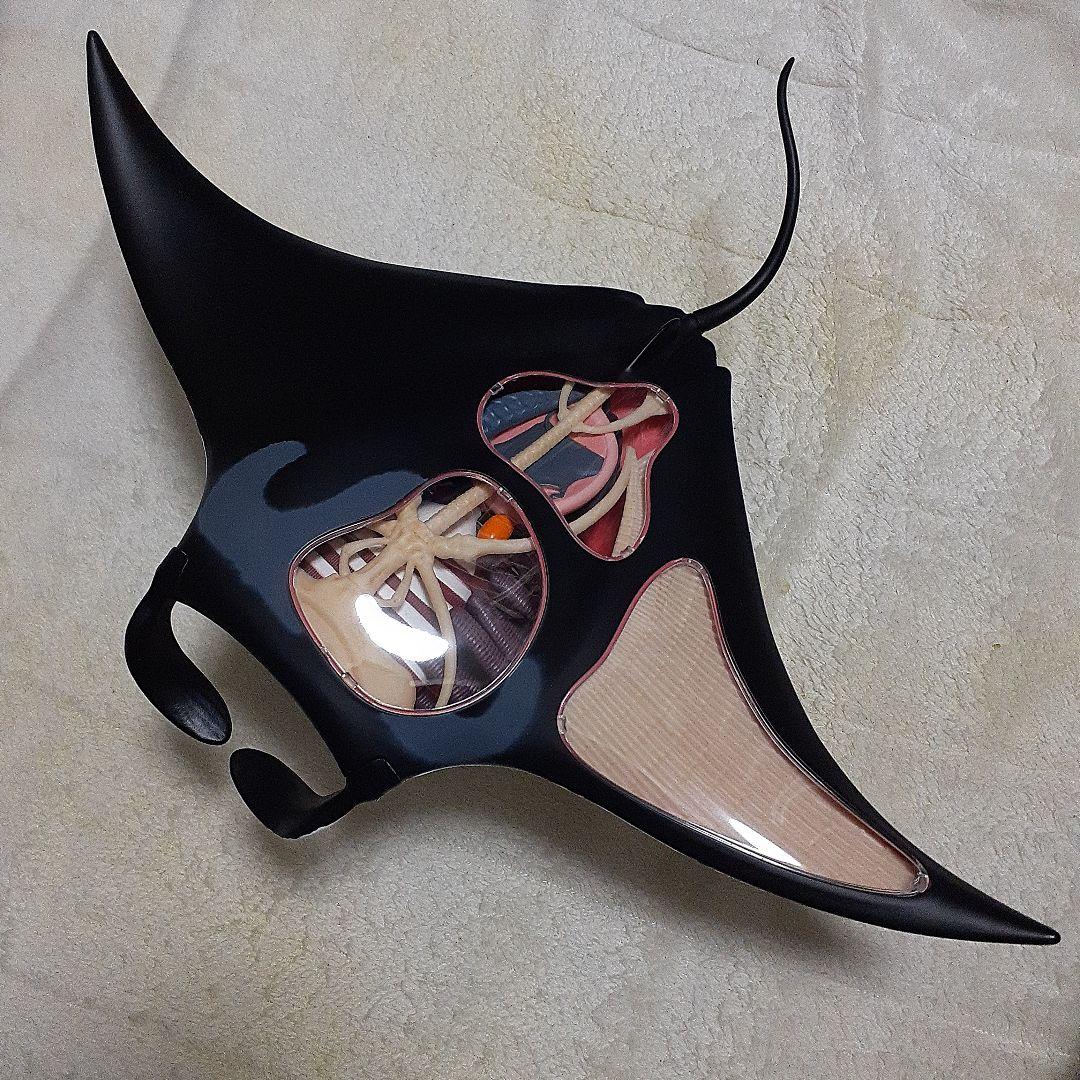 4D-VISON　マンタ　イルカ　サメ　フィギュア　解剖模型　パズル　3体セット