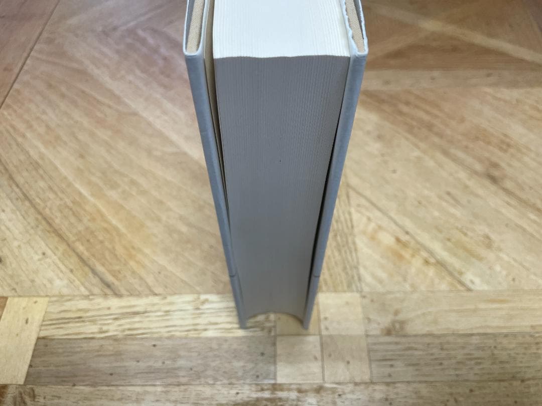 【新品未読品】家の馬鹿息子 1 / サルトル