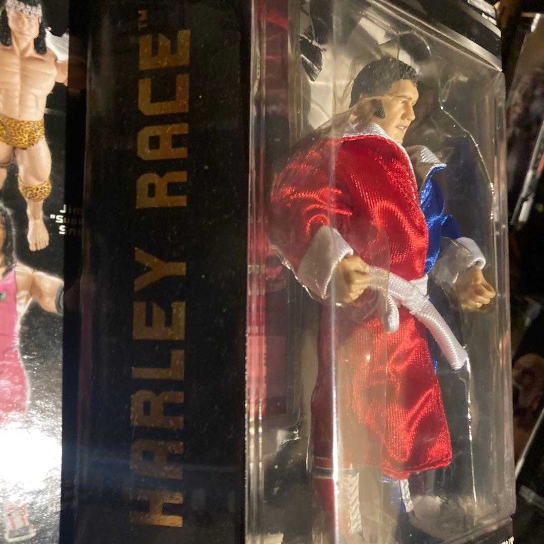 WWEクラシック10 ハーリーレイス