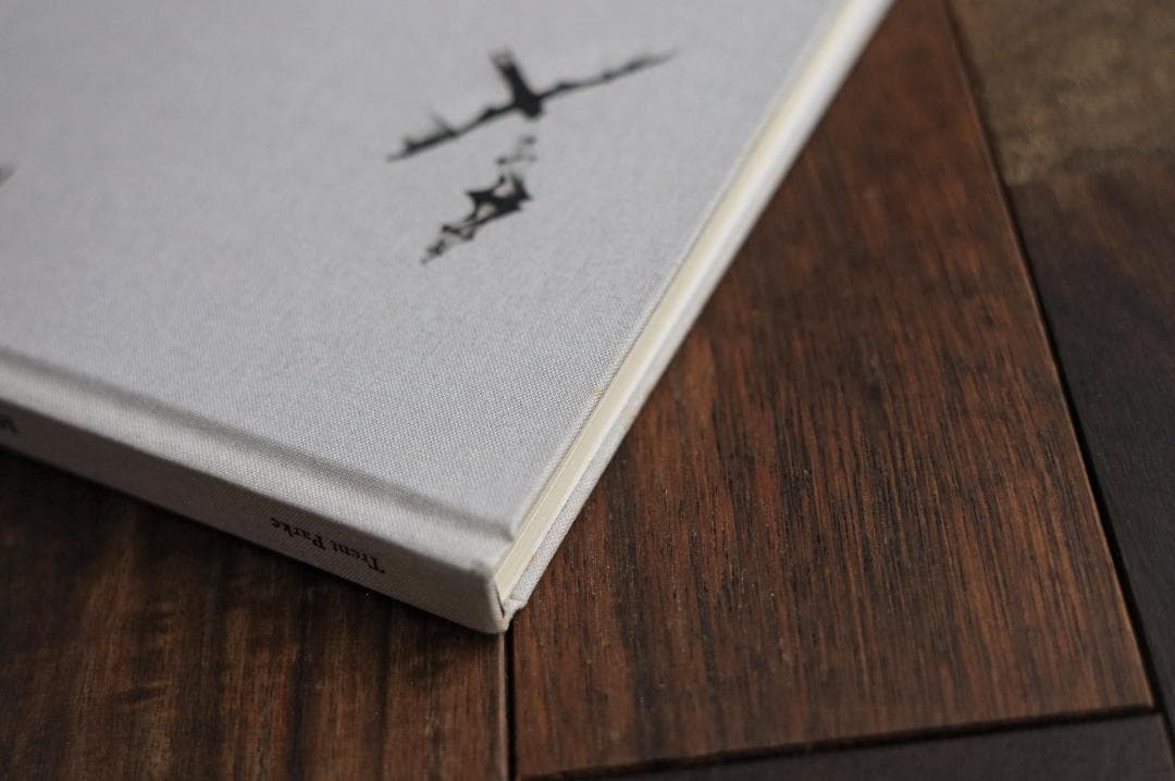 Minutes to Midnight Trent Parke　トレント・パーク