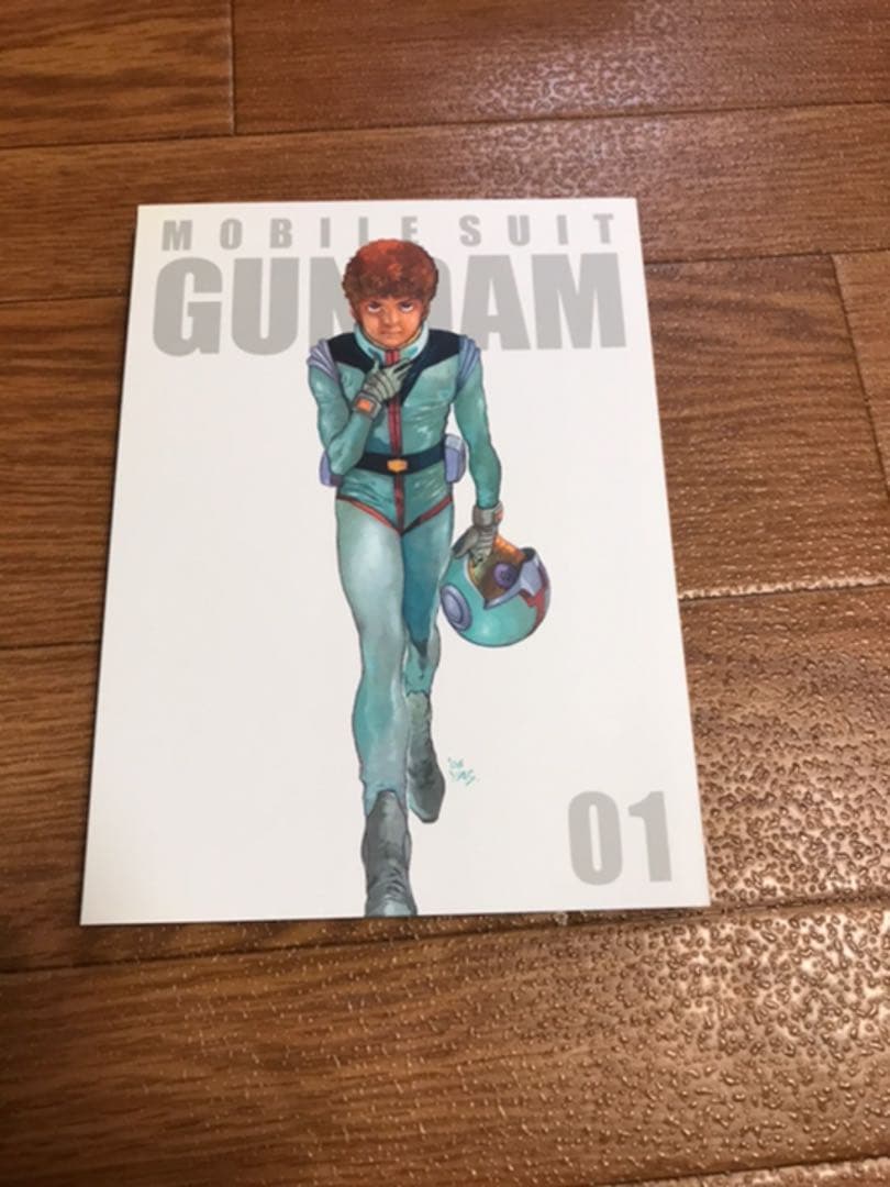 機動戦士ガンダムDVD BOX 1.2 & プラモデル