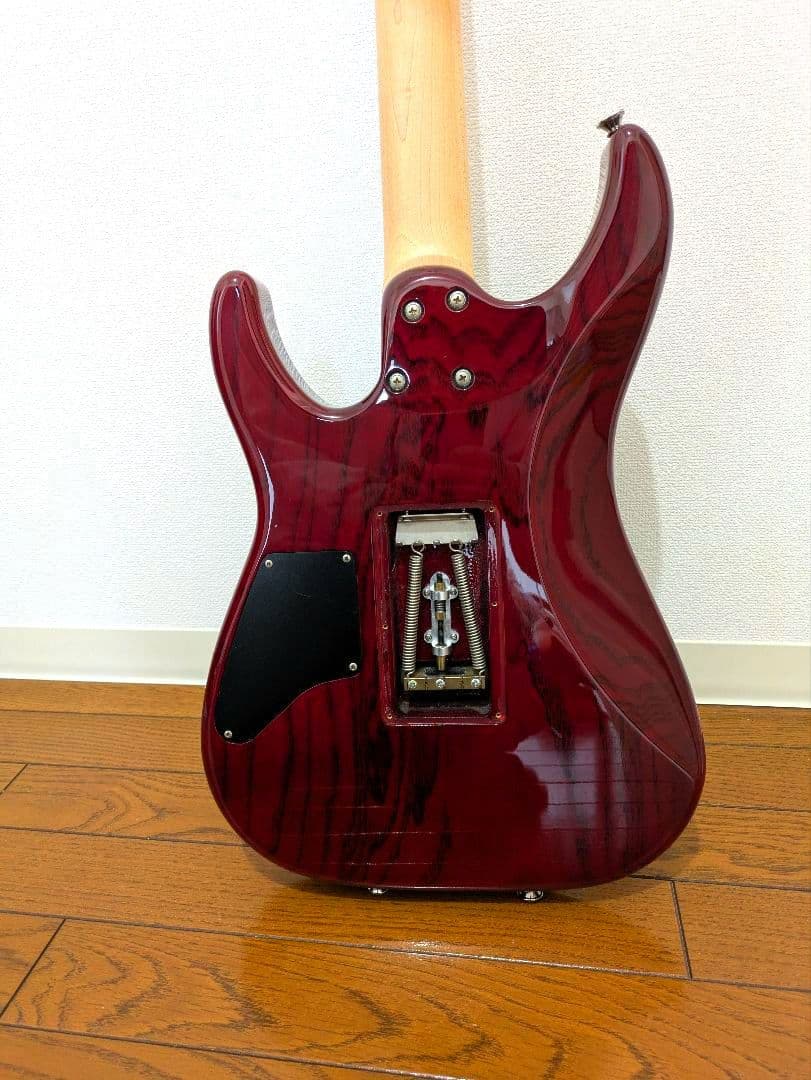 [美品] SCHECTER NV-DX-24-AS　D-tunaつき