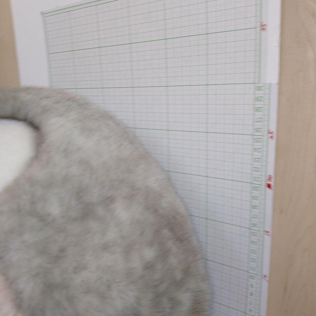 モンスイユ　ふくろうぬいぐるみ　ルイーズ特大　30cm