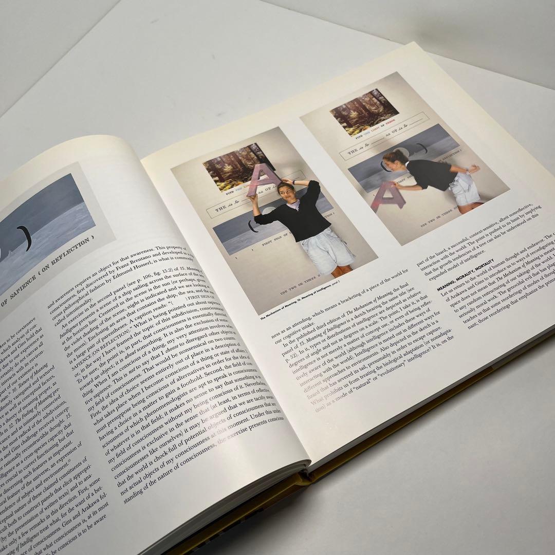 アート・デザイン・音楽 ARAKAWA/GINS WE HAVE DECIDED NOT TO DIE.