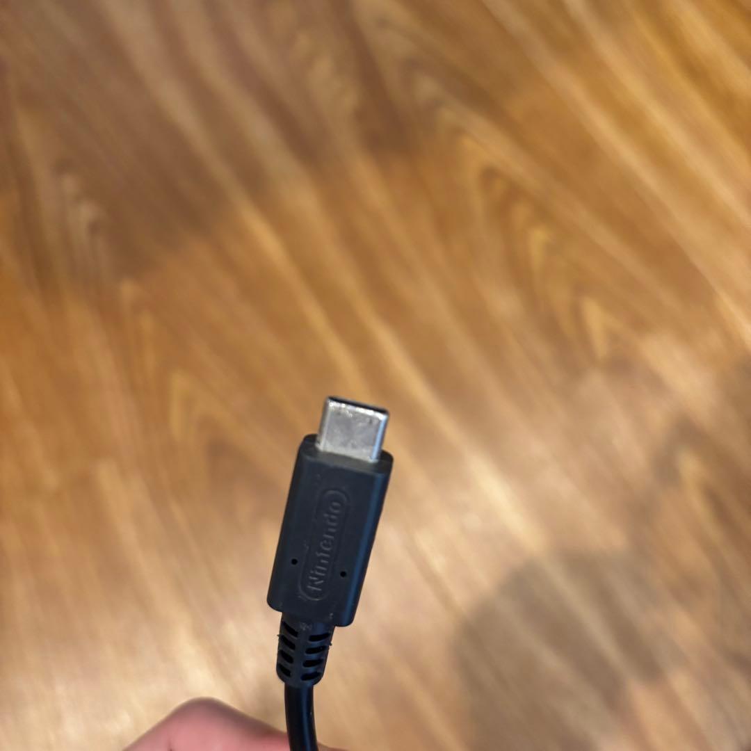 Nintendo Switch Lite 任天堂スイッチライト ブルー