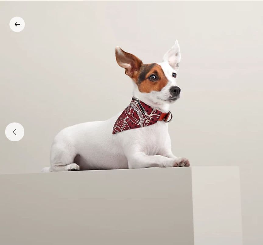 【未使用】HERMES　犬用　バンダナ　エプロンドール　Sサイズ