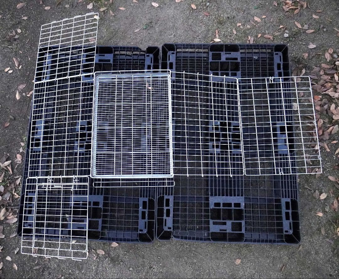 ハチコウ ステンレス折りたたみケージ Mサイズ