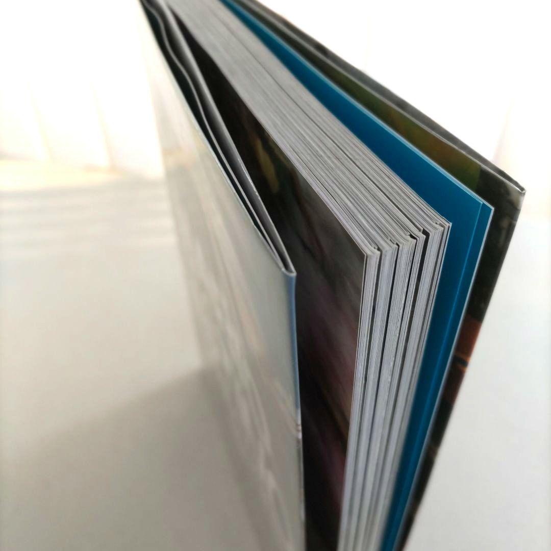 Mario Testino:Any Objections?/写真 作品集 洋書