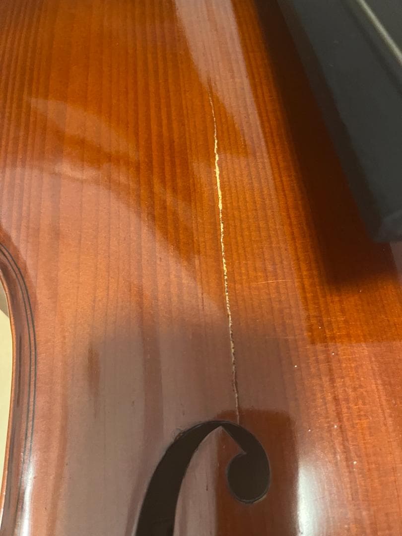 【破損あり】Gliga Genial チェロ 4/4サイズ