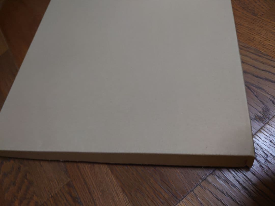 高橋留美子先生デジタルサイン入り『らんま1/2』複製原画A