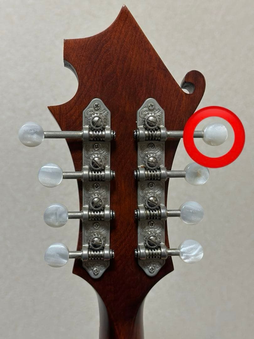 弦楽器 Eastman MD315/Antique Red