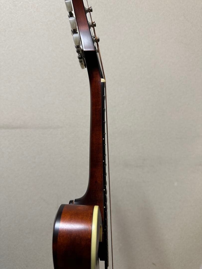 弦楽器 Eastman MD315/Antique Red
