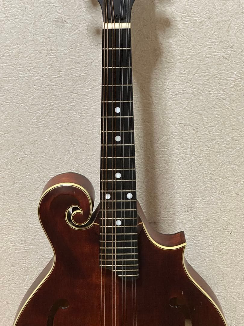 弦楽器 Eastman MD315/Antique Red