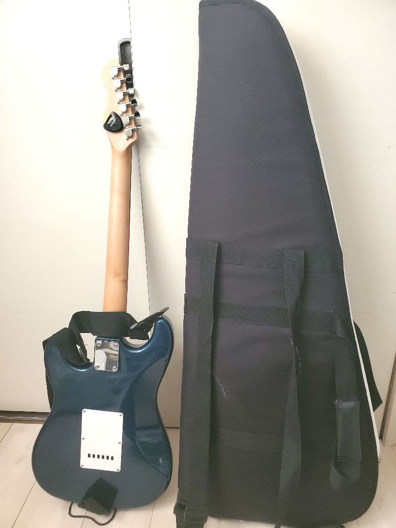 エレキギターとギブソンギターソフトケース