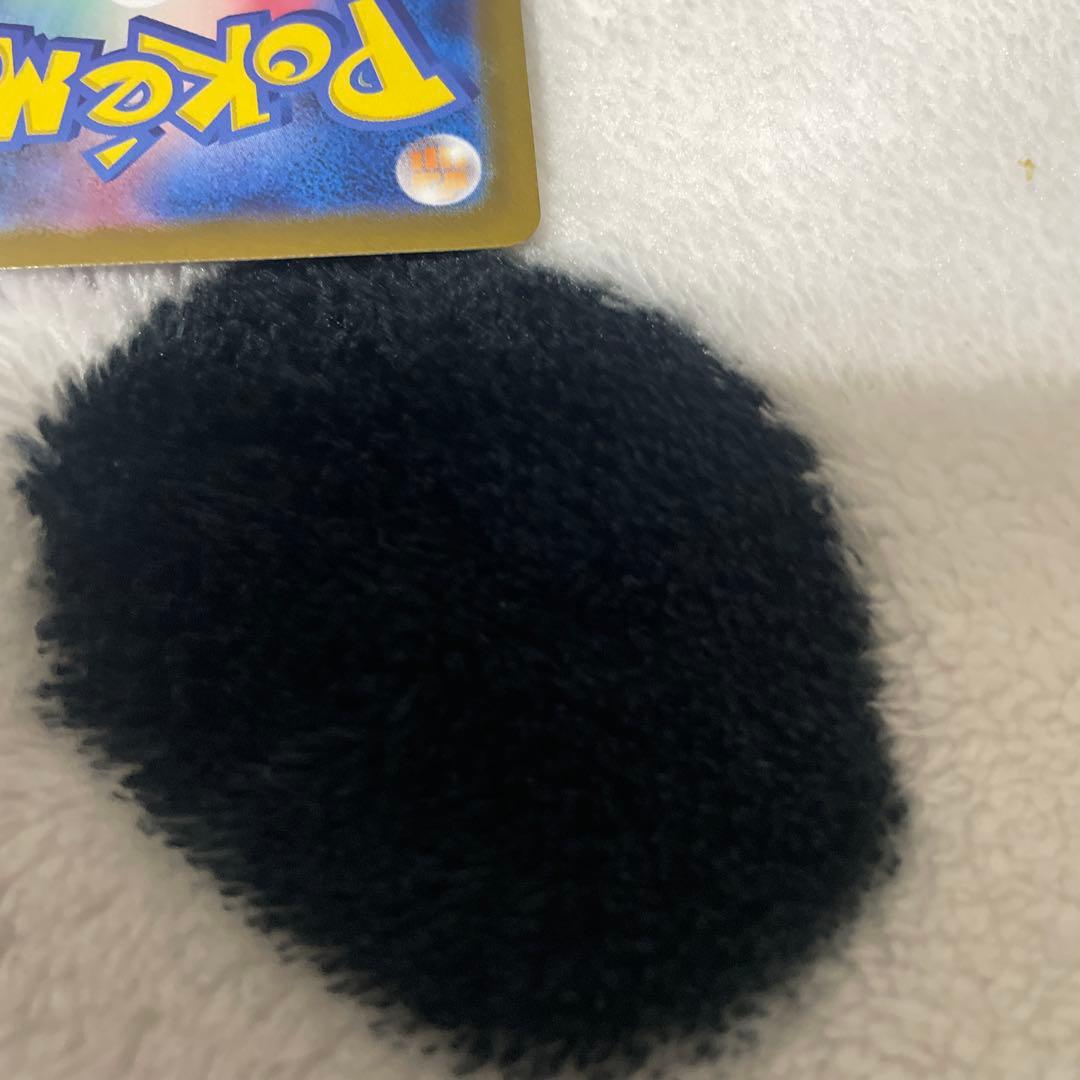 ニンフィアex sar テラスタルフェス