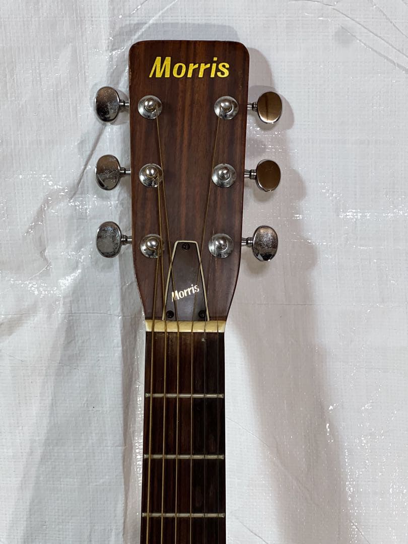 ジャパビンMorris モーリスF-15 1975年 寺田楽器