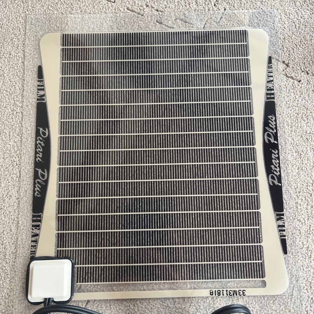 爬虫類　飼育セット　フードおまけ付き