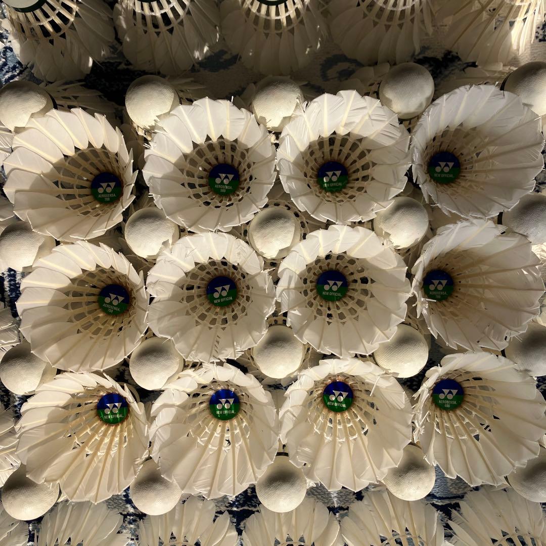 バドミントンシャトル　10ダース