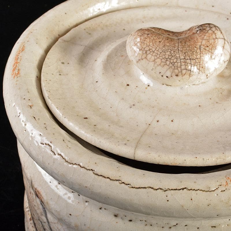 茶道具　志野焼　絵志野　鉄絵　花草文　水指　時代箱付　V　R6156B