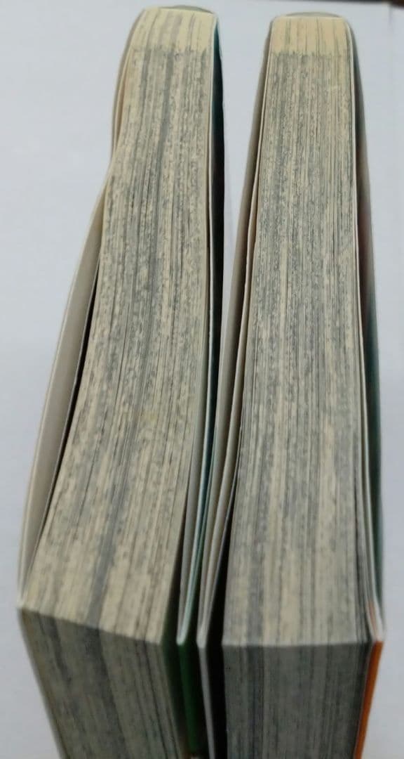 砂漠の海賊! キャプテンクッパ 谷上俊夫