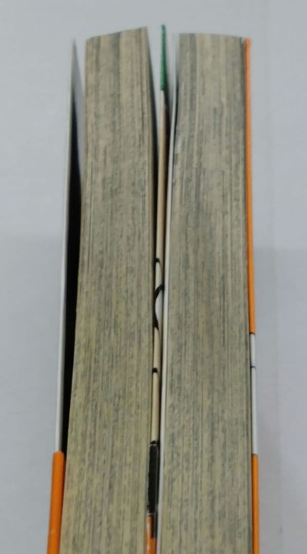 砂漠の海賊! キャプテンクッパ 谷上俊夫