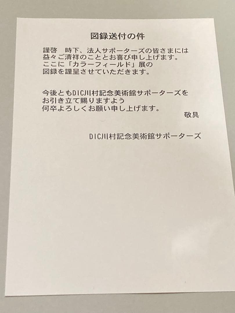 【新品】カラーフィールド　色の海を泳ぐ　DIC川村記念美術館