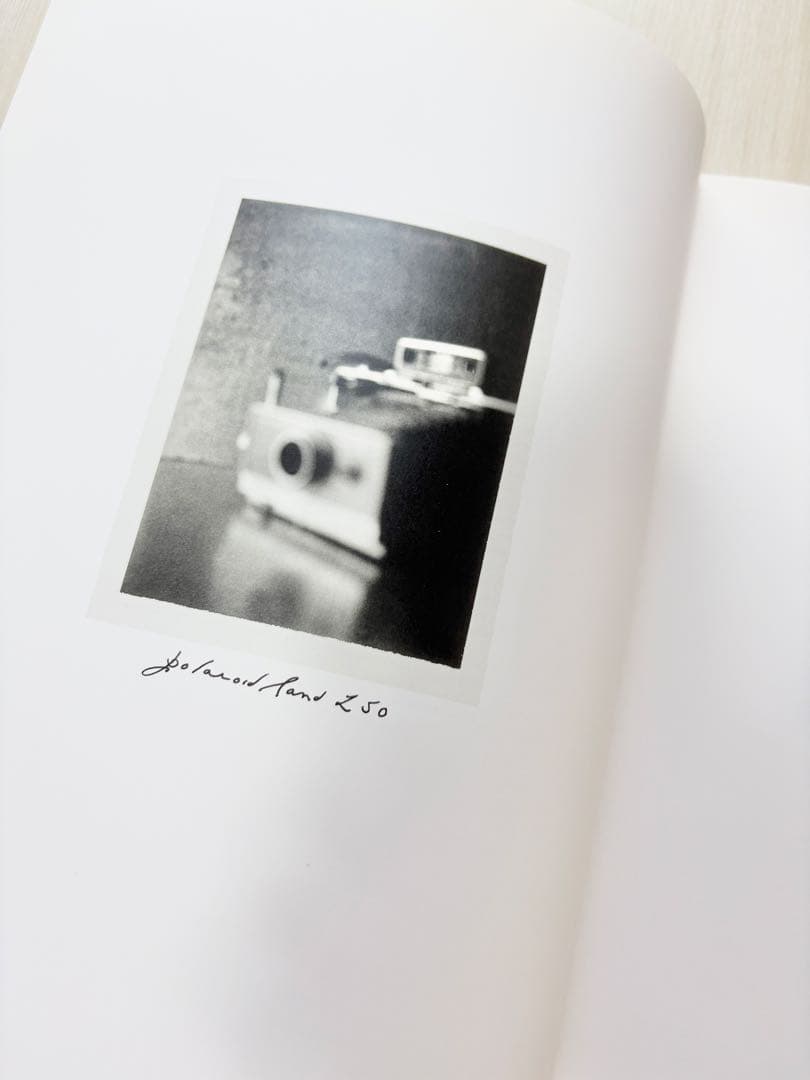 Patti Smith: Land 250 パティ・スミス