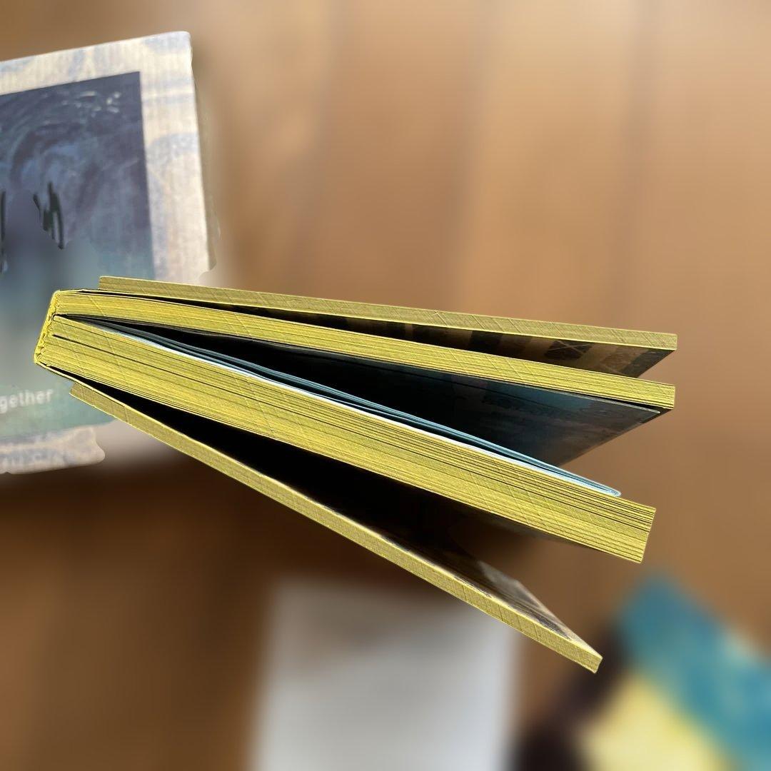 春光乍洩 / happy together /ブエノスアイレス 写真集