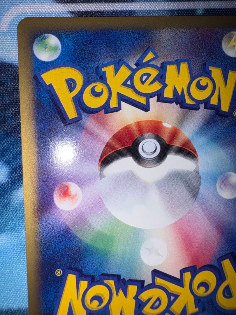 確認用（購入された場合ウォンバットのお写真送ります）