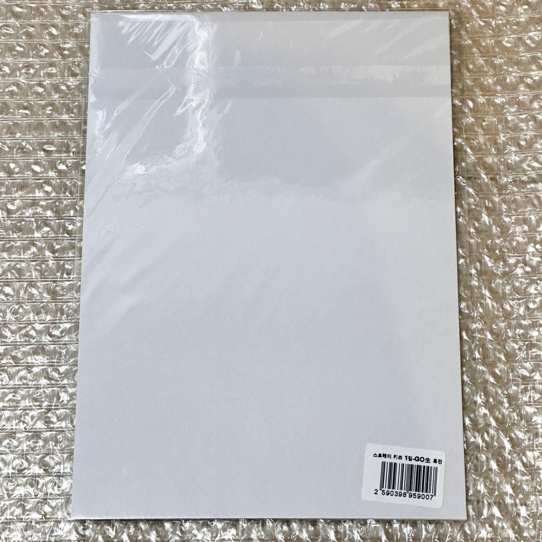 straykids チャンビン GO生 ミニポスター yes24 廃盤