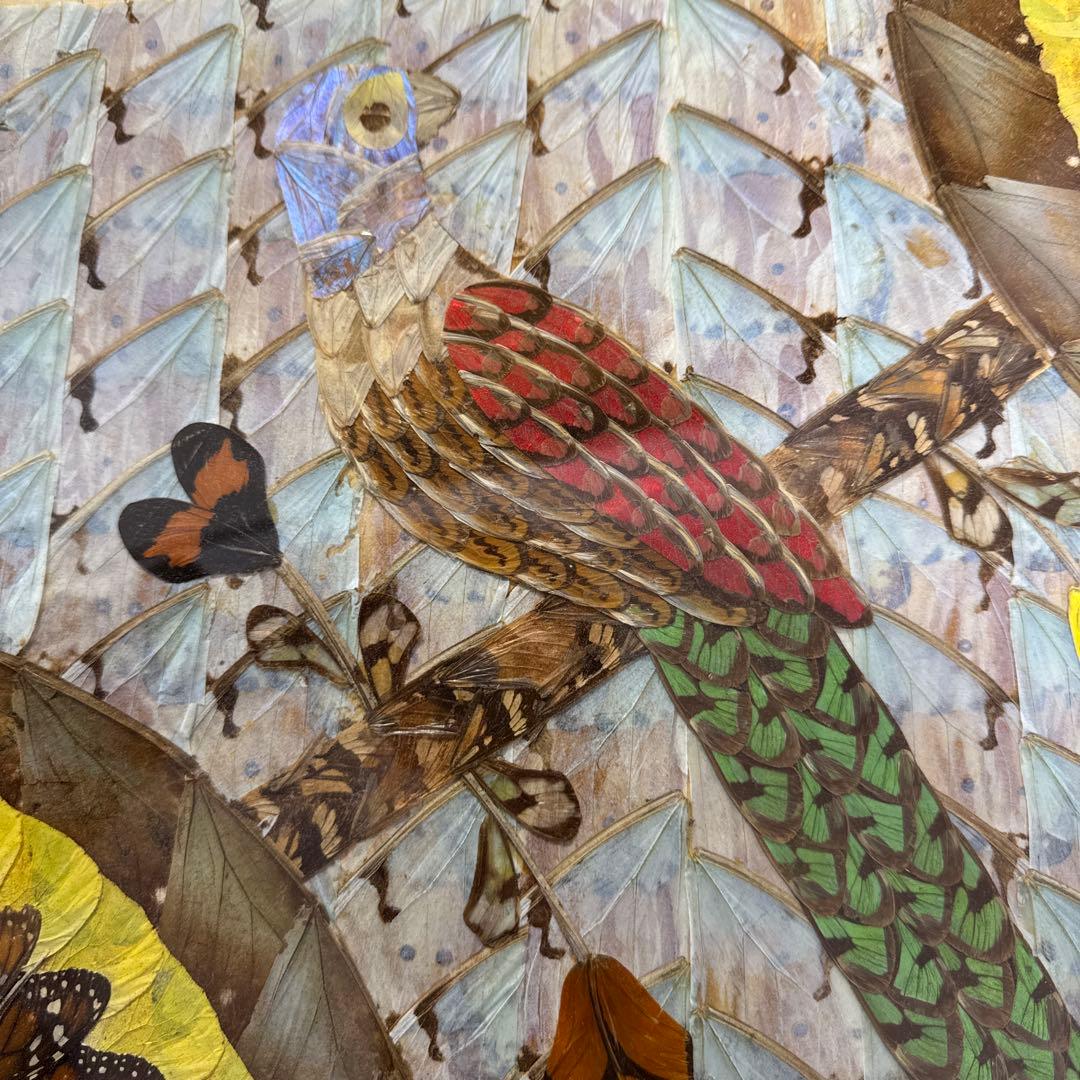 インテリア　アート アンティーク　モルフォ蝶 羽絵 額装 羽細工 蝶標本 壁掛け