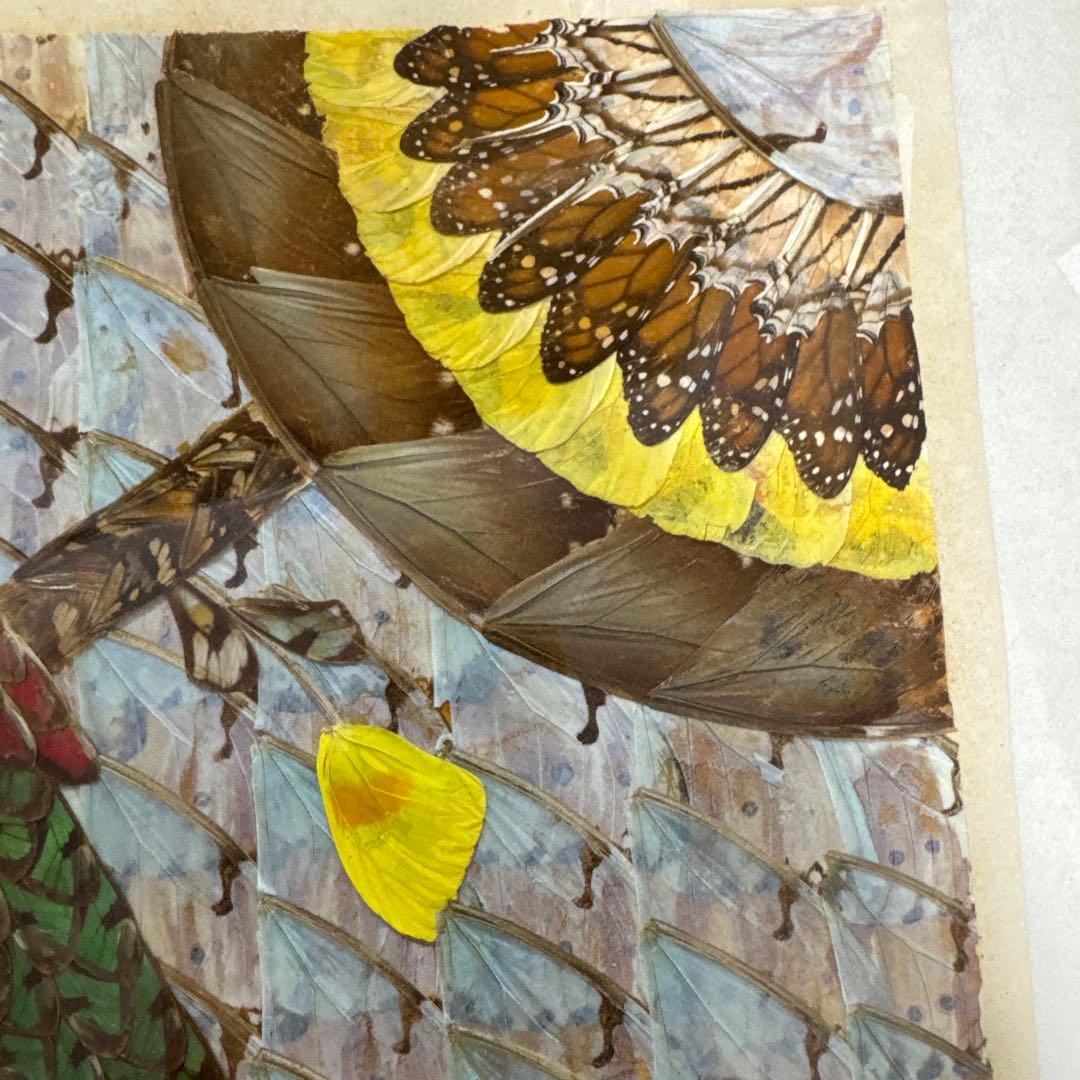 インテリア　アート アンティーク　モルフォ蝶 羽絵 額装 羽細工 蝶標本 壁掛け