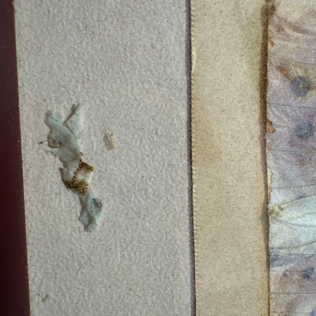 インテリア　アート アンティーク　モルフォ蝶 羽絵 額装 羽細工 蝶標本 壁掛け