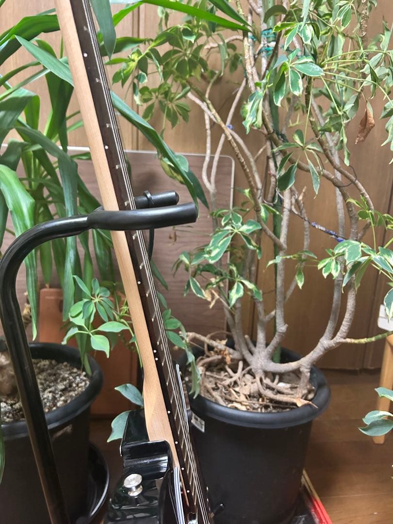 legend テレキャスター