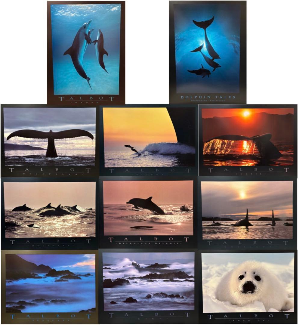 Bob Talbot 80s vintage poster 11種セット