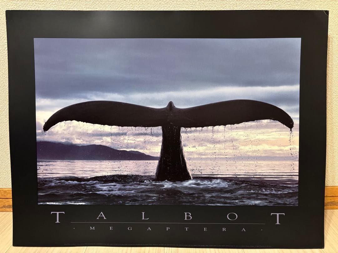 Bob Talbot 80s vintage poster 11種セット