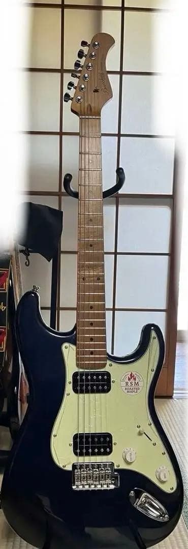 Bacchus bst-3-rsm ストラトmod(ゴトーペグ、ctsポット)